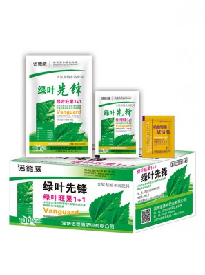 绿 叶 先 锋